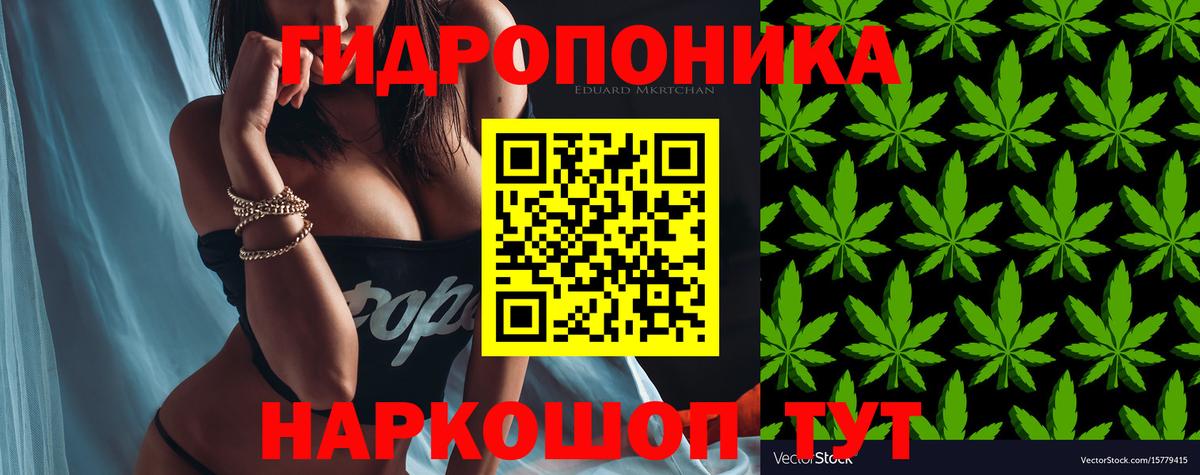 Канабис Amnesia Туапсе